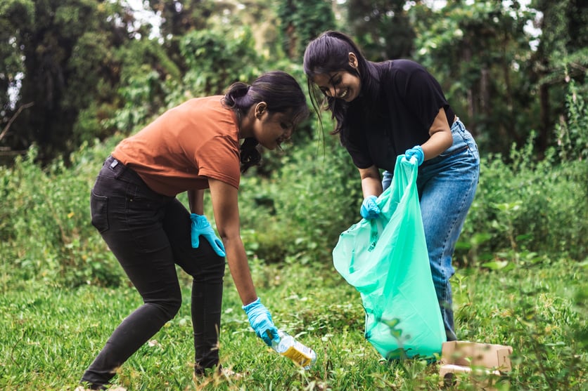 People Picking Up Trash in the Forest